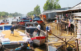 Công bố hàng loạt sai phạm tại Vinafood 2