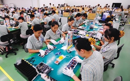 Đà Nẵng: Đưa CNTT trở thành ngành kinh tế mũi nhọn