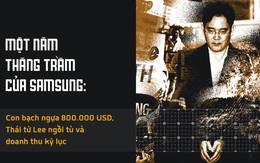 Một năm thăng trầm của Samsung: Con bạch ngựa 800.000 USD, Thái tử Lee ngồi tù và doanh thu kỷ lục