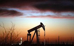 Giá dầu tăng do thị trường kỳ vọng OPEC kéo dài thỏa thuận cắt giảm