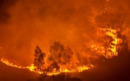 Cháy rừng lớn nhất lịch sử ở Hà Nội: Xác định nguyên nhân ban đầu