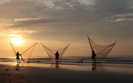 Bên cạnh các bluechips truyền thống, Vietnam Holding bất ngờ mua 10% VĐL một công ty sản xuất dây và lưới đánh cá