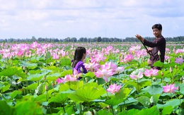 Điều gì tạo nên hiện tượng Đồng Tháp, một tỉnh nghèo lại hay gặp hạn hán, nhưng "máu" khởi nghiệp thì chẳng thua Hà Nội, Tp.HCM ?