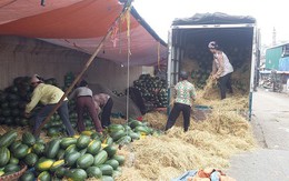 Xuất khẩu rau quả Việt Nam chiếm chưa tới 1% thị phần thế giới