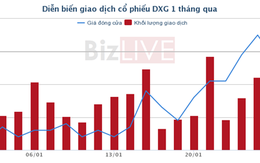 [Cổ phiếu nổi bật tuần] “Tiến hóa” thành chủ đầu tư bất động sản, cổ phiếu DXG cũng đang ấm lại