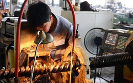 OECD: Tăng trưởng GDP của Việt Nam sẽ chậm lại trong trung hạn
