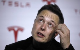 Elon Musk trả nửa tỷ USD tiền thuế thu nhập cá nhân riêng trong năm 2016
