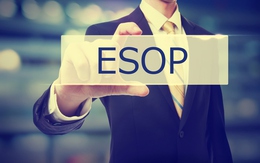 Masan Group chuẩn bị phát hành lượng cổ phiếu ESOP trị giá hơn 420 tỷ đồng