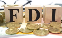 Thu hút FDI 30 năm nhìn lại: Đánh giá, điểu chỉnh để thực chất hơn