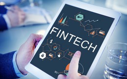 Tại sao các tập đoàn nước ngoài đổ hàng trăm triệu USD vào fintech Việt Nam?