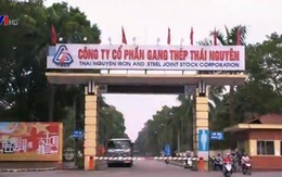SCIC đã thoái toàn bộ 1.000 tỷ vốn góp tại Gang thép Thái Nguyên