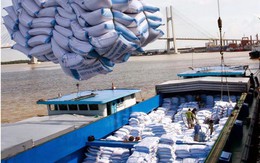 Tăng cường xuất khẩu gạo sang Bờ Biển Ngà