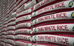 Gạo Thái Lan lo cạnh tranh từ Việt Nam