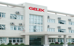 Gelex: Vợ Ủy viên HĐQT bán sạch hơn 3,6 triệu cổ phiếu GEX