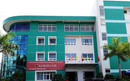 Kon Tum: Giám đốc Ngân hàng Agribank Chi nhánh Kon Rẫy bị tạm đình chỉ công tác