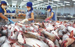Đề nghị 7 bộ vào cuộc giúp hải sản Việt thoát "thẻ vàng" EU