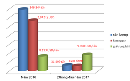 Xuất khẩu hạt điều phụ thuộc lớn nguyên liệu nhập khẩu