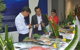 Cá, tôm, mực... Việt Nam chính thức bị phạt thẻ vàng