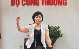 Cục trưởng Chống tham nhũng nói về việc kê khai tài sản của bà Hồ Thị Kim Thoa