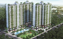 Khu Tây Tp.HCM, sức sống mới của thị trường địa ốc