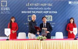 Nhất Nam Land: Triển khai dự án Elysia Complex City tại quận Hải Châu- Đà Nẵng