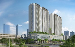 Khách hàng mua nhà được tặng ngay ô tô tại The Golden Palm