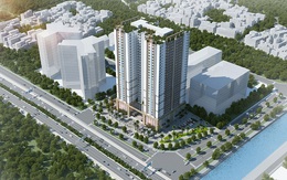 2017  năm của phân khúc nhà giá rẻ