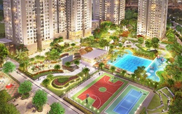 Ưu thế cạnh tranh đến từ quy hoạch thông minh