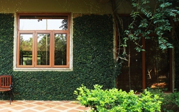 Thông điệp xanh từ kính cao cấp cho không gian sống trong lành