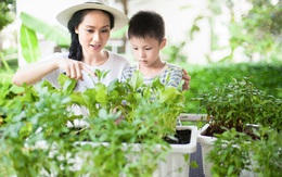 Anland không chỉ là căn nhà mà còn là tổ ấm