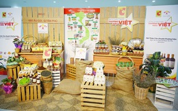 Đồng hành cùng thương hiệu Việt: giải pháp giúp doanh nghiệp nhỏ vượt khó