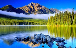 Đến New Zealand dễ dàng với giá vé hấp dẫn từ Air New Zealand