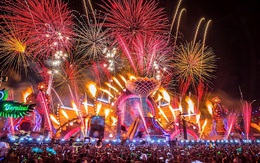 Hardwell by VinaPhone - thương hiệu Việt của người Việt vì giấc mơ EDM Việt