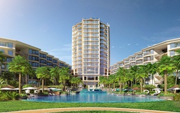 BIM Group – dấu ấn thương hiệu kết tinh từ kinh nghiệm, uy tín và tầm nhìn phát triển chiến lược