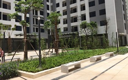 Thị trường BĐS quý II: Căn hộ 2 phòng ngủ chiếm phần lớn giao dịch