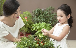 Căn hộ cao cấp dành 2.000m2 sân chơi cho con trẻ