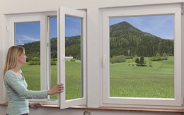 Tập đoàn DAG góp phần giữ “phổi” cho trái đất