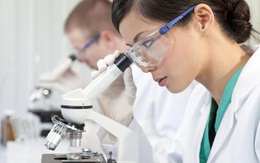 Thành phần collagen được kiểm nghiệm lâm sàng như thế nào?