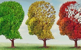 Di truyền học và khả năng chống lão hóa của Ginsenosides