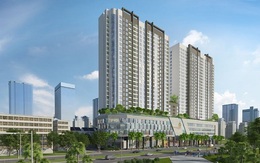 The Golden Palm xây dựng khẩn trương, bàn giao đúng hẹn