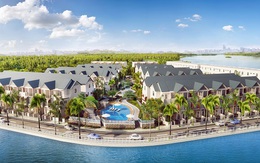 Anpha Holdings đạt doanh thu kỷ lục hơn 100 tỷ trong ngày kỷ niệm thành lập