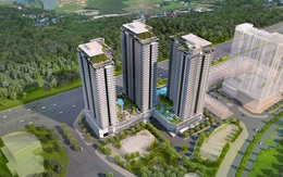 The ZEN Residence – Sức hút của căn hộ cao cấp giá tầm trung