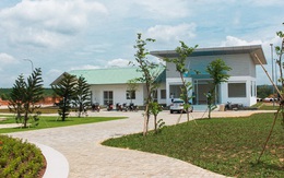 LDG Group khánh thành công trình tiện ích và khai trương showroom Khu đô thị The Viva City