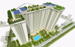 EcoHome Phúc Lợi: Hai chứng nhận “nâng tầm” căn hộ giá thấp