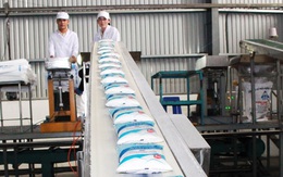 Ai đang gom cổ phiếu BHS?