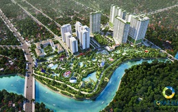 Bán hết Phoenix 1 –Topaz Elite ra mắt Phoenix 2 sớm hơn dự kiến