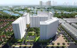 Chọn trường trước khi chọn nhà