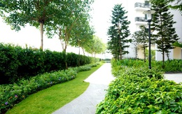 Người thành đạt lựa chọn loại căn hộ nào?