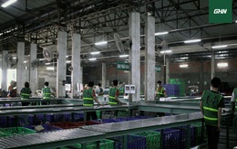 Giải pháp hiệu quả cho mô hình bán hàng đa kênh