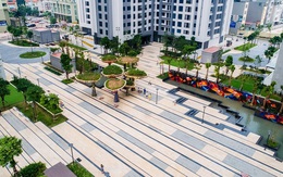 Đầu tư cho cảnh quan, khi tầm nhìn không quá… ngọn cây